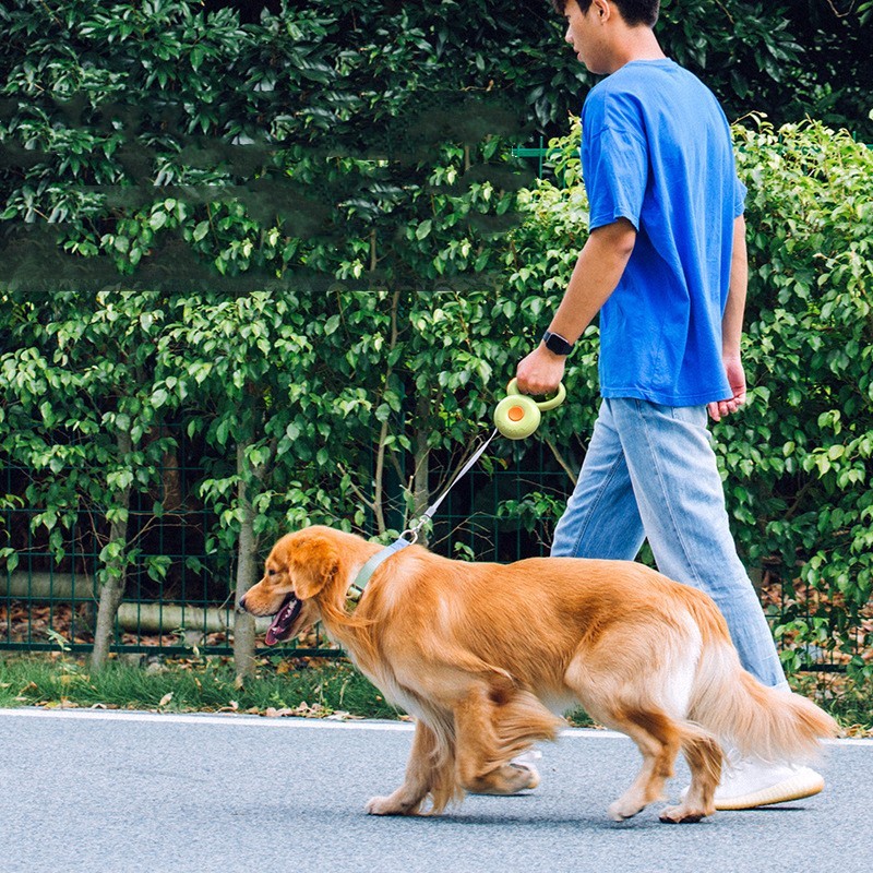 Halo Leash - Retractable Dog Leash with Anti Locking System | Tangle Free