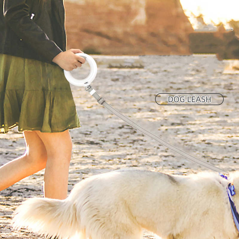 Bright Walk - LED Automatic Retractable Dog Leash | Built in Poop Bags