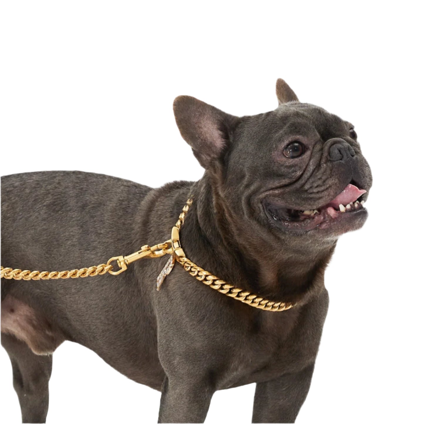 Luxe Leash - Cuban Link Gold Dog Leash