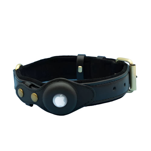 Paw Track - AirTag Dog Collar