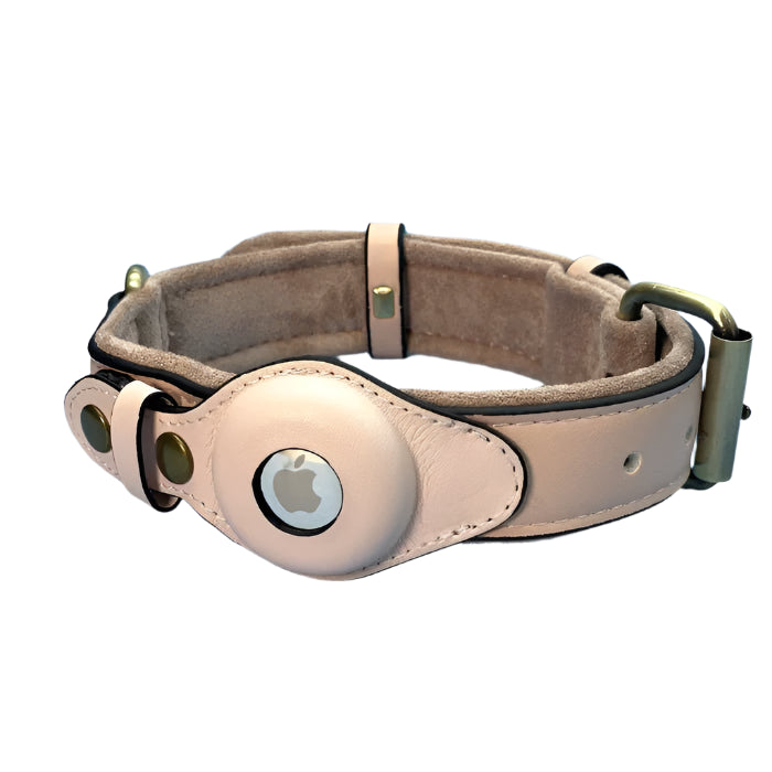 Paw Track - AirTag Dog Collar