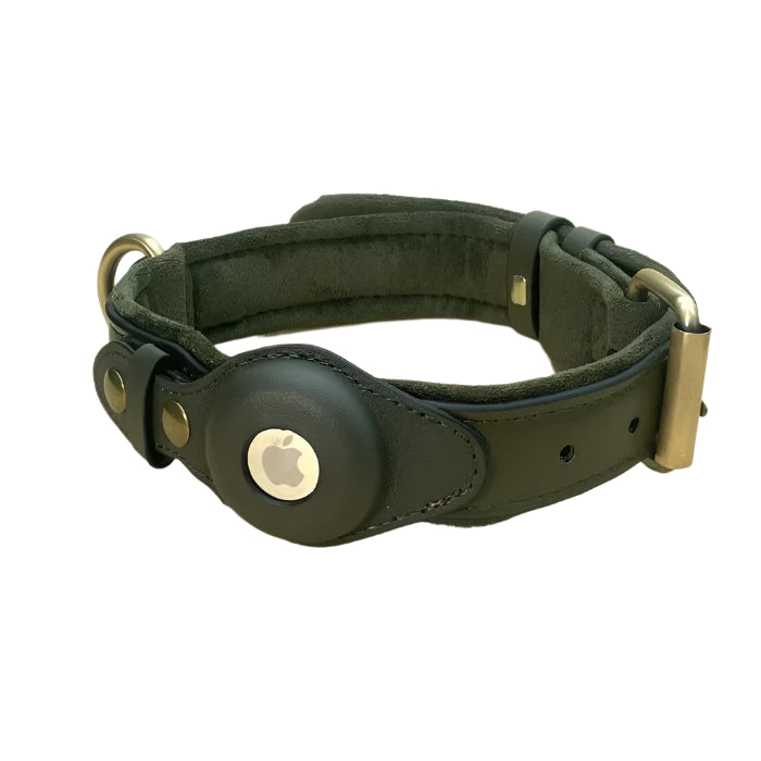 Paw Track - AirTag Dog Collar