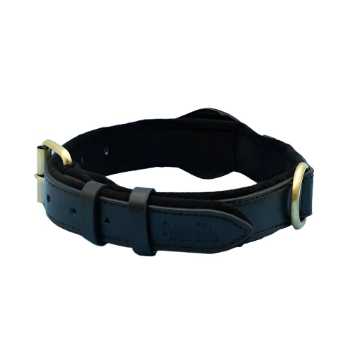 Paw Track - AirTag Dog Collar