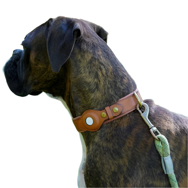 Paw Track - AirTag Dog Collar