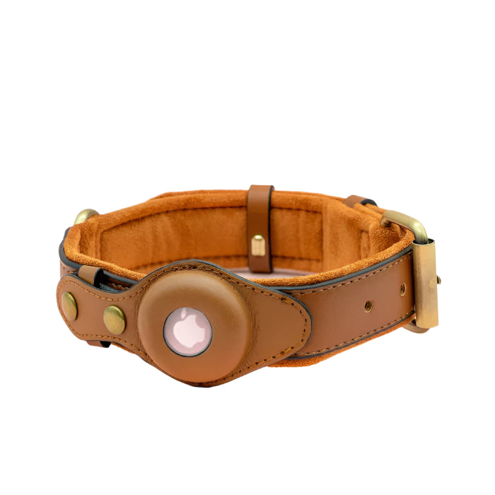 Paw Track - AirTag Dog Collar
