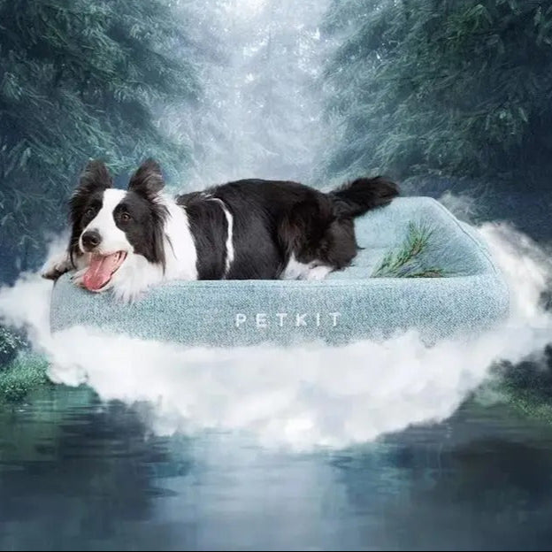 Comfy Paws - Memory Foam Dog & Cat Bed