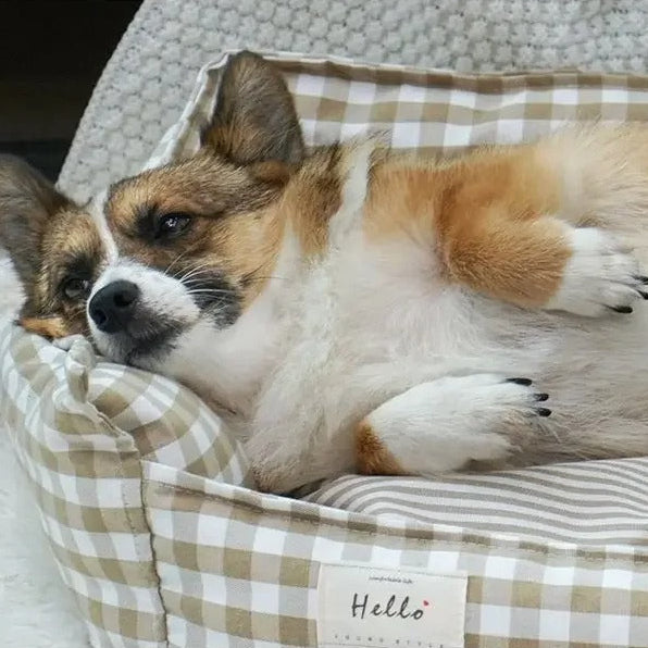 Cozy Paws - Indoor Dog & Cat Sofa Bed for Ultimate Relaxation