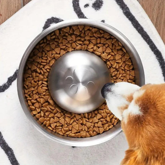 Pace Bowl - Slow Feeding Dog Bowl