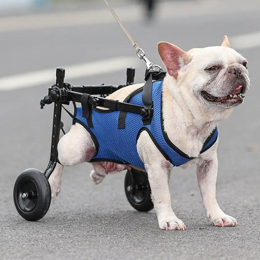 Mobility Mate - Adjustable Dog Wheelchair for Hind Legs