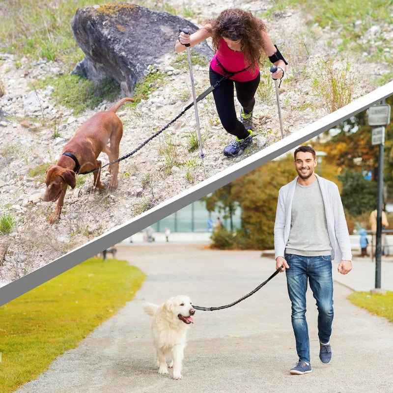Stride Pro - Hands Free Reflective Dog Leash