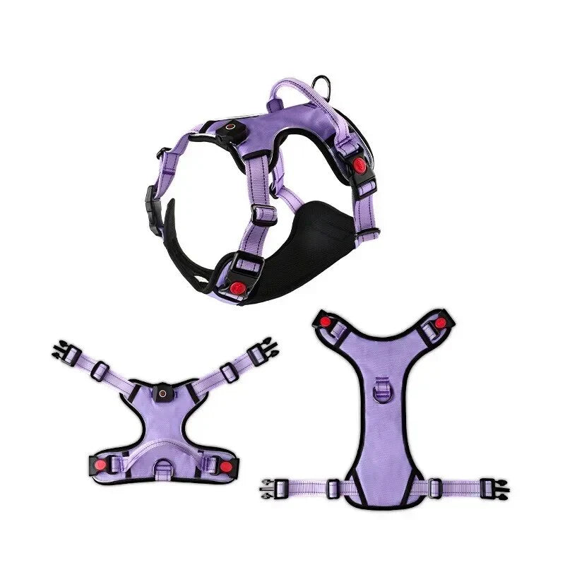Trail Guard - Reflective LED Dog Collar Harness