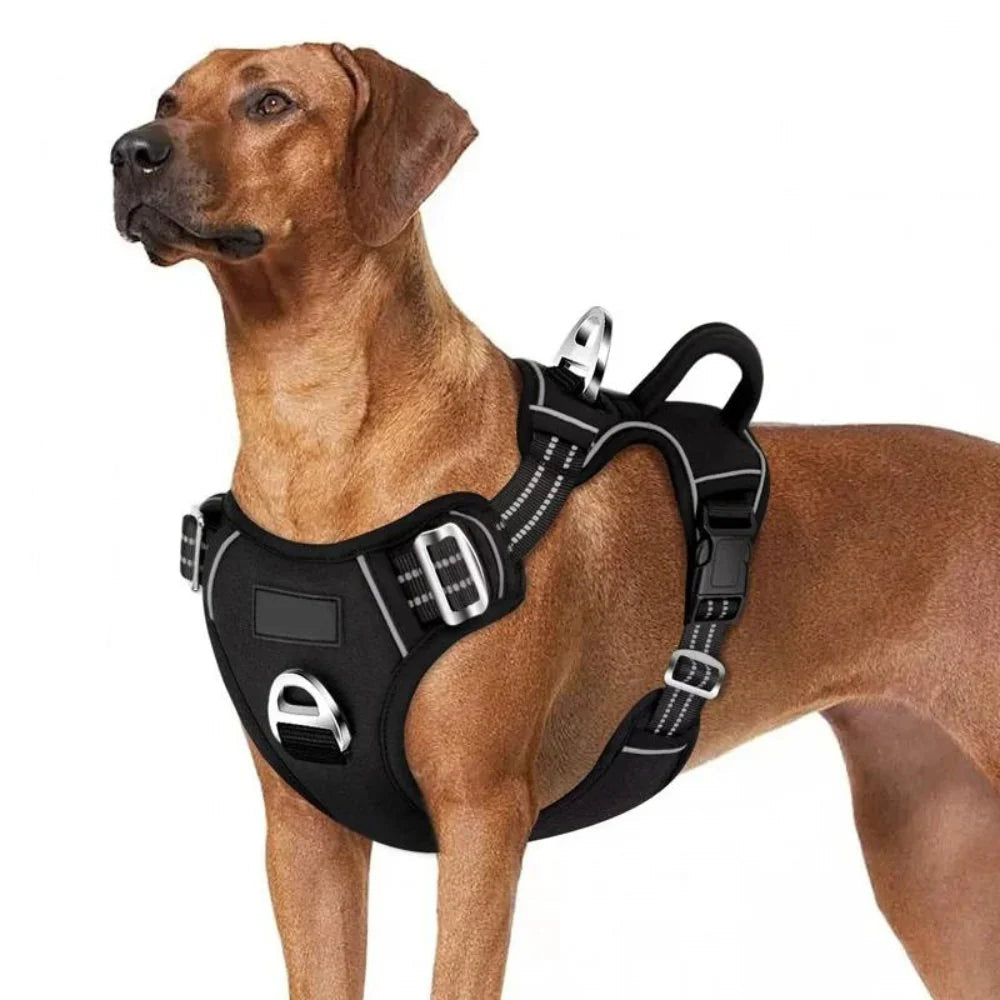 Control Ease - No Pull Dog Harness that Prevents Choking