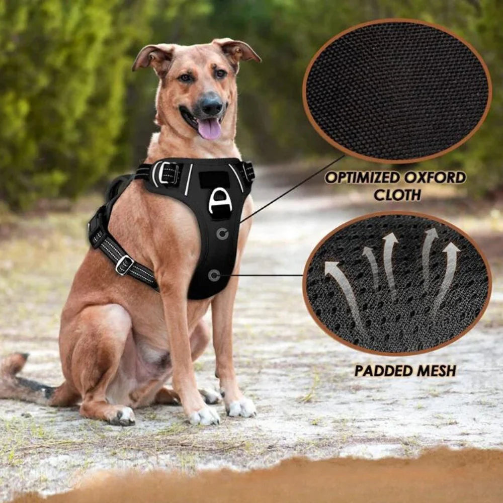 Control Ease - No Pull Dog Harness that Prevents Choking