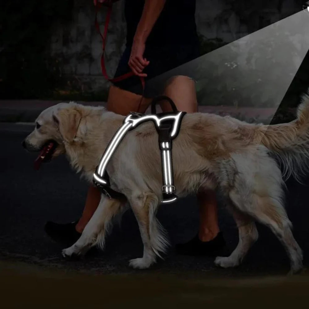 Control Ease - No Pull Dog Harness that Prevents Choking