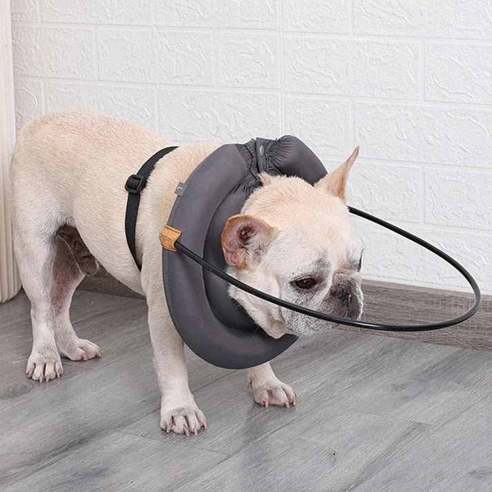 Vision Aid - Blind Dog Harness Walking Aid