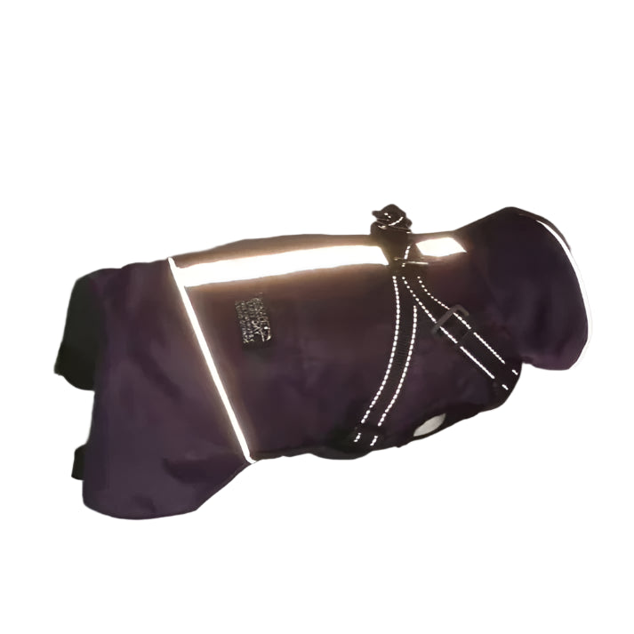 Warm Stride - Ultra warm dog coat with built in harness