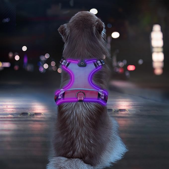 Trail Guard - Reflective LED Dog Collar Harness