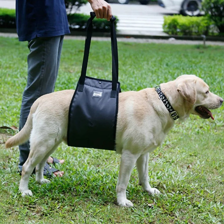 Mobility Aid - Adjustable Dog Support Sling
