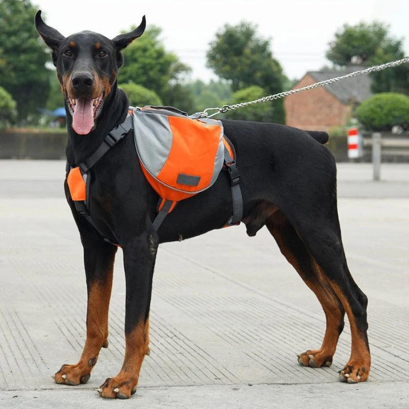 Trail Paws - Dog Backpack Harness