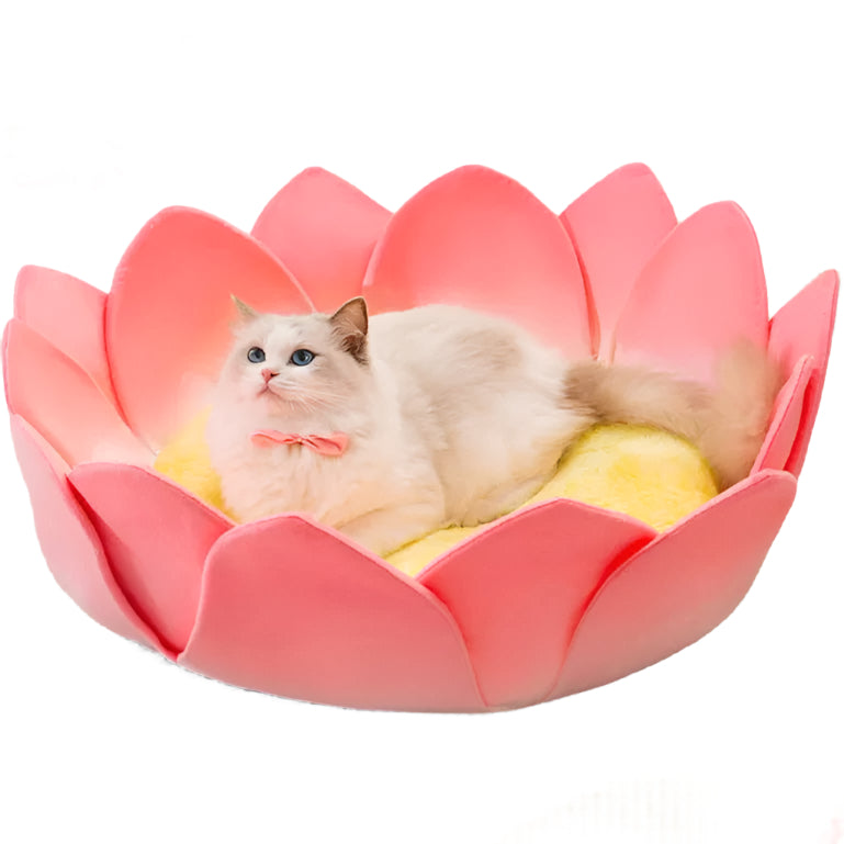 Lotus Bliss - Flower Petal Cozy Cat Bed with Memory Foam