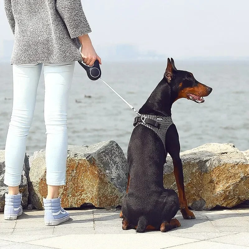 Glow Guard - Adjustable LED Reflective & Breathable Dog Harness