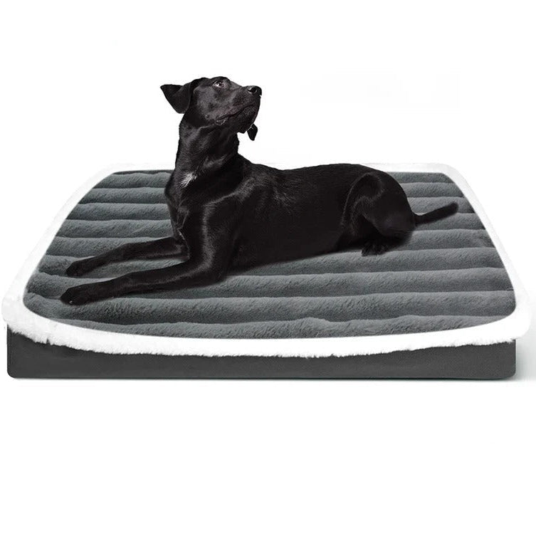 Dream Rest - Orthopedic Memory Foam Dog Bed