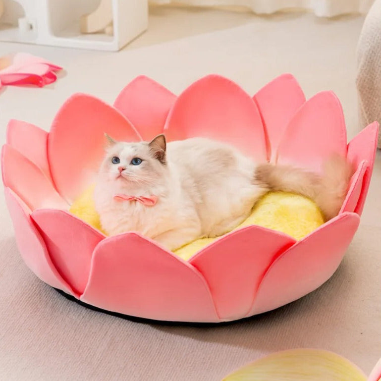 Lotus Bliss - Flower Petal Cozy Cat Bed with Memory Foam