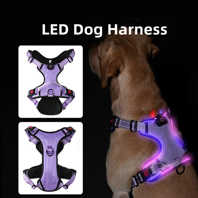 Trail Guard - Reflective LED Dog Collar Harness