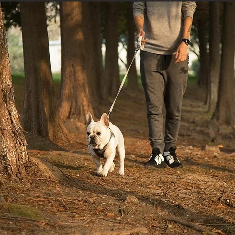 Glow Guard - Adjustable LED Reflective & Breathable Dog Harness