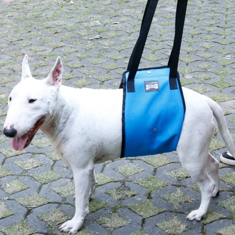 Mobility Aid - Adjustable Dog Support Sling