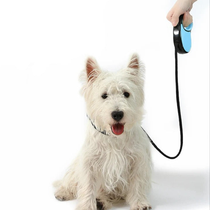 Flexi Walk - Automatic Retractable Dog Leash