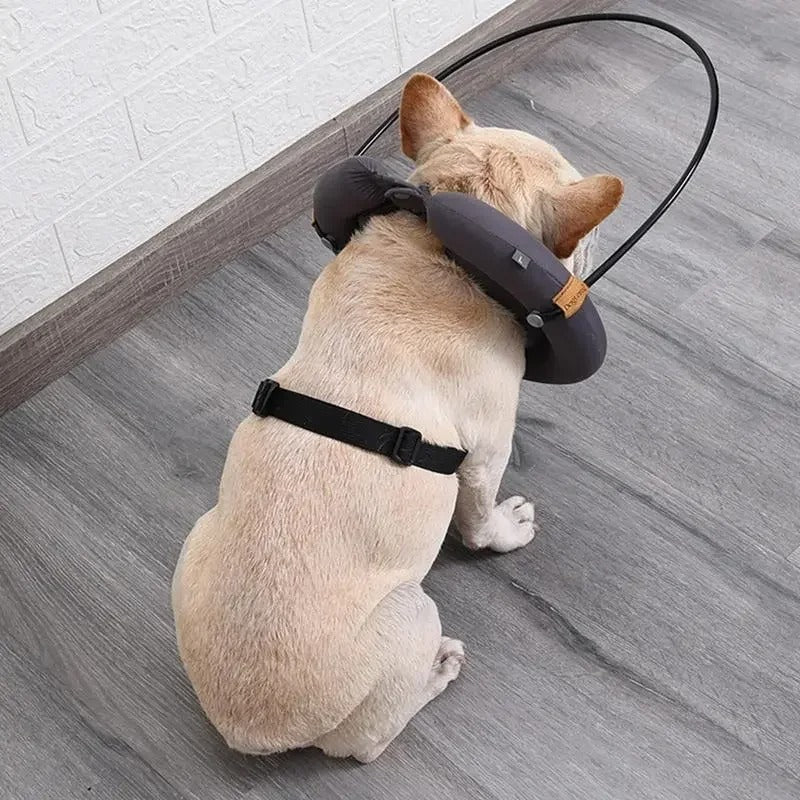 Vision Aid - Blind Dog Harness Walking Aid