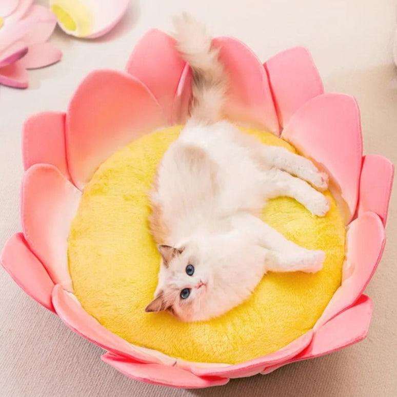 Lotus Bliss - Flower Petal Cozy Cat Bed with Memory Foam