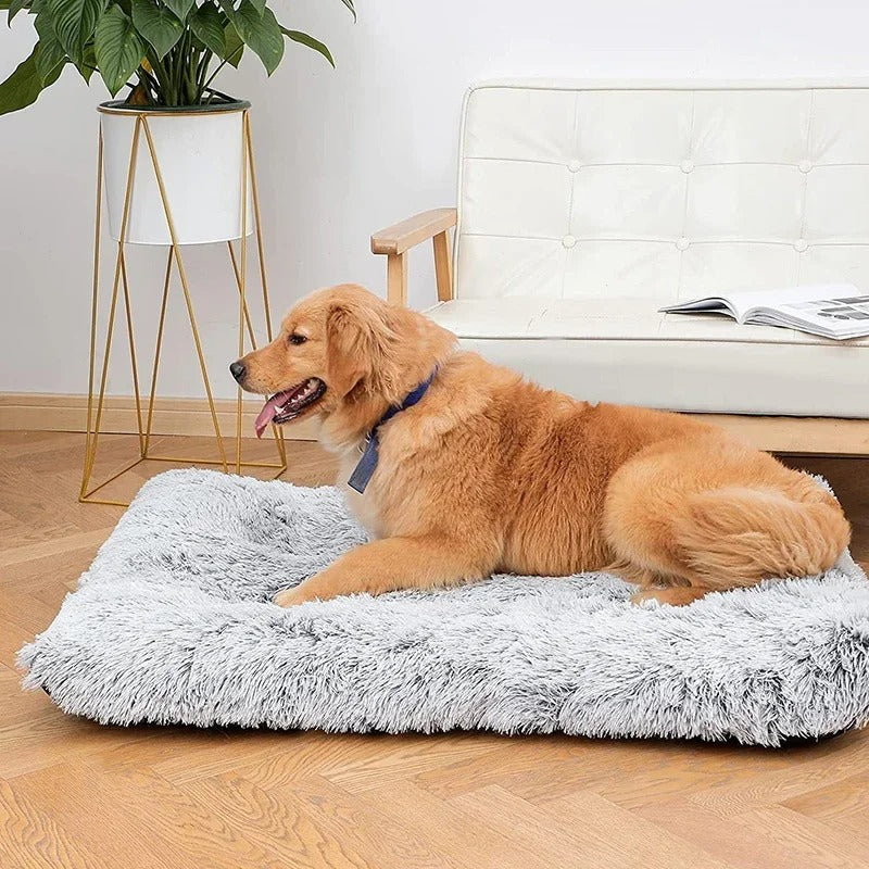 Cloud Cushion - Plush Calming Dog & Cat Mat