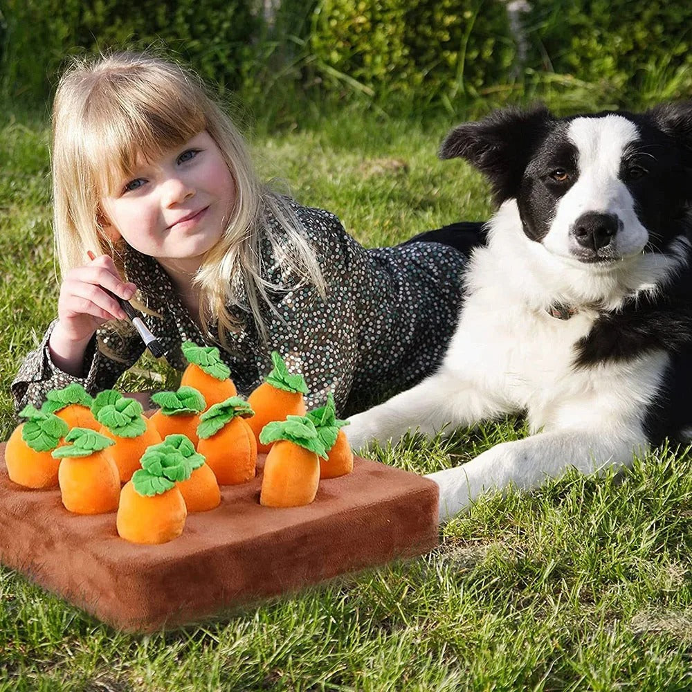 Sniff Nest - Interactive Dog Carrot Feeding Snuffle Mat