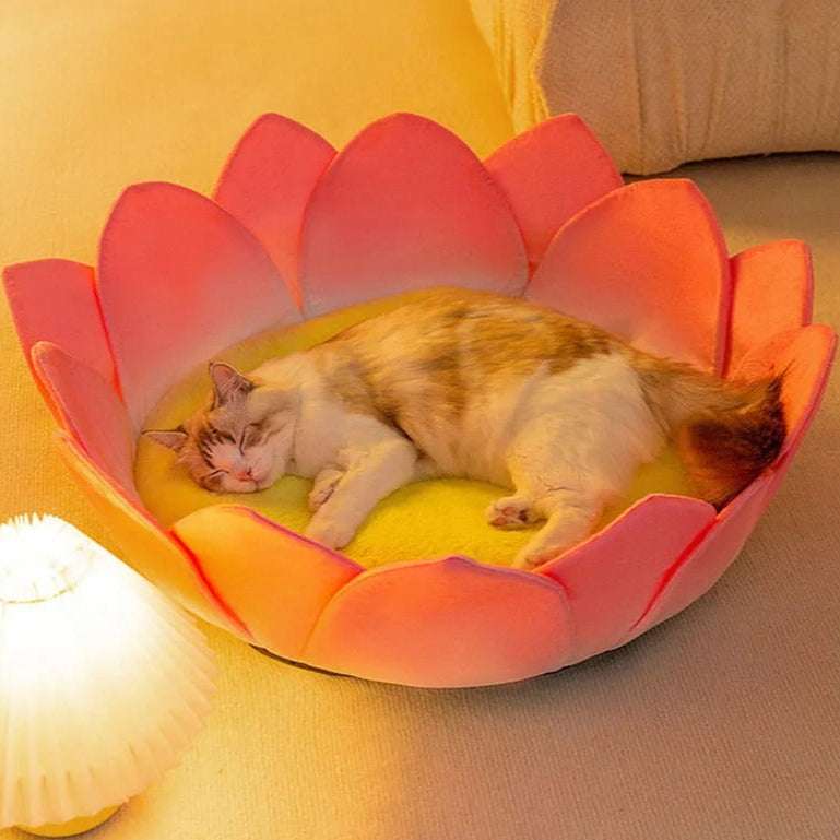 Lotus Bliss - Flower Petal Cozy Cat Bed with Memory Foam