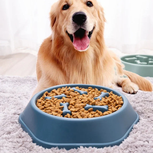 Meal Maze - Slow Feeding Dog Bowl