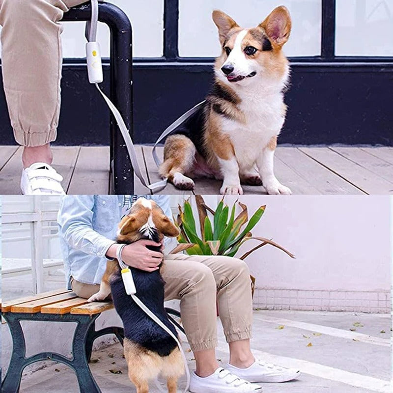 Power Link - Retractable & Reflective Dog Leash | Anti-Lost Dog Leash