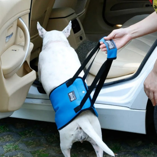 Mobility Aid - Adjustable Dog Support Sling