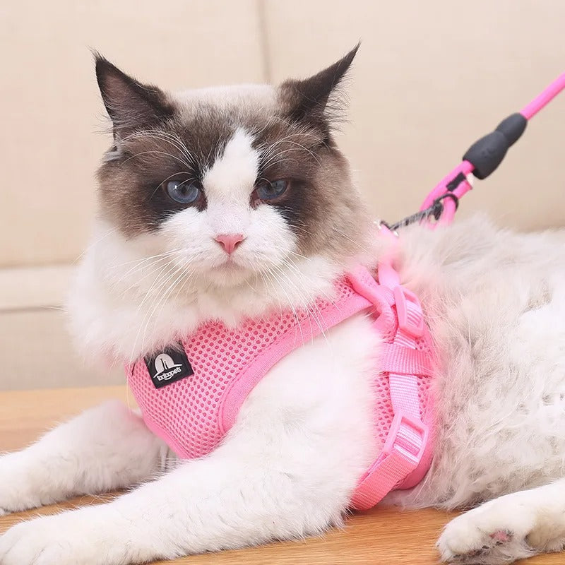 Comfort Fit - Adjustable Mesh Pet Harness with Sturdy Handle