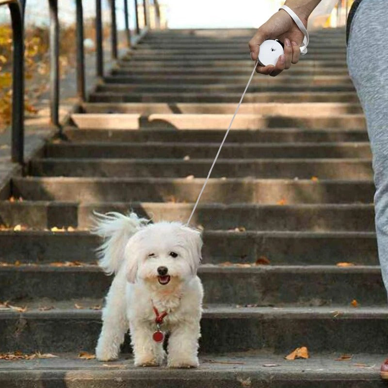 Swift Lead - Retractable Mini Dog Leash