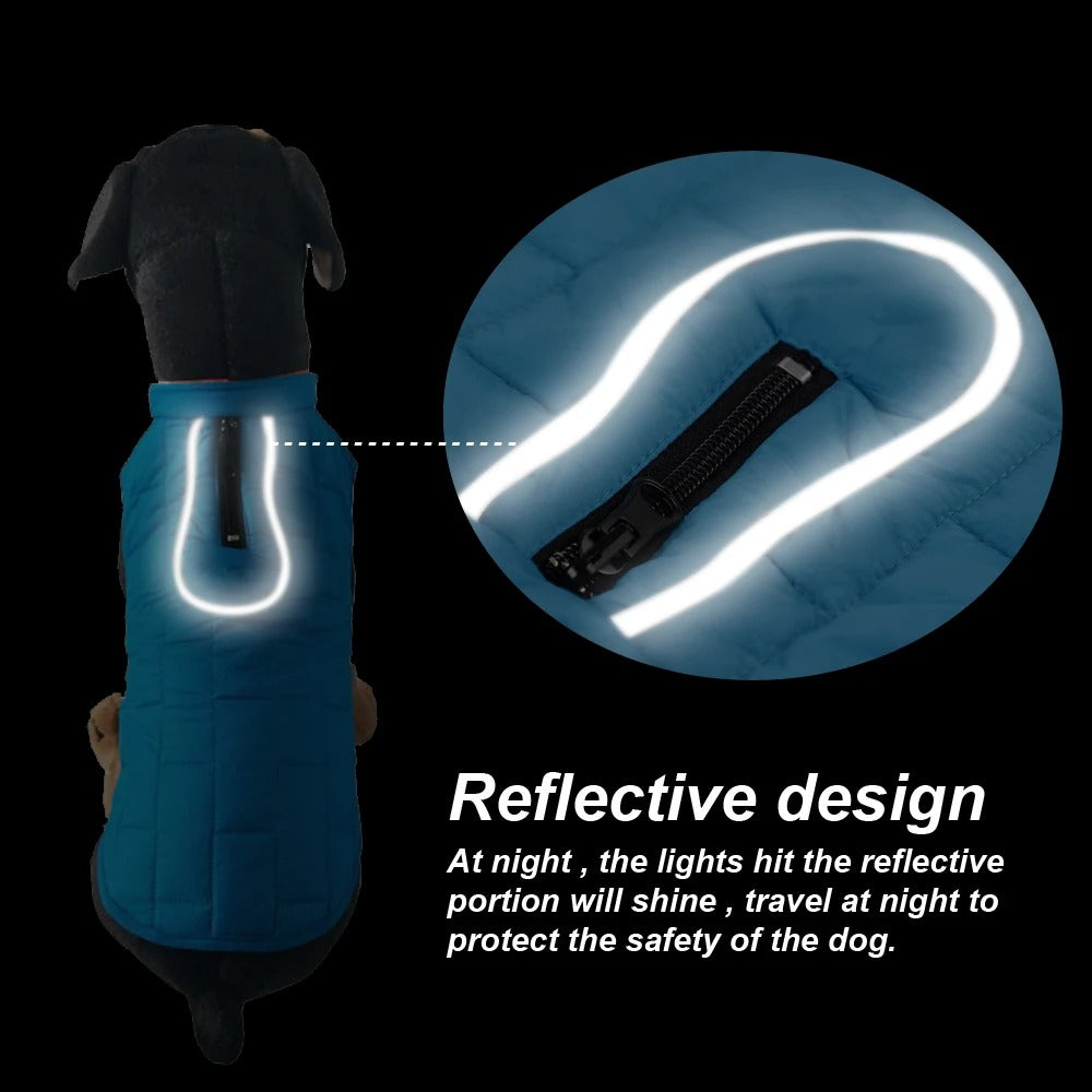 Winter Shield - Reversible Waterproof Winter Dog Jacket