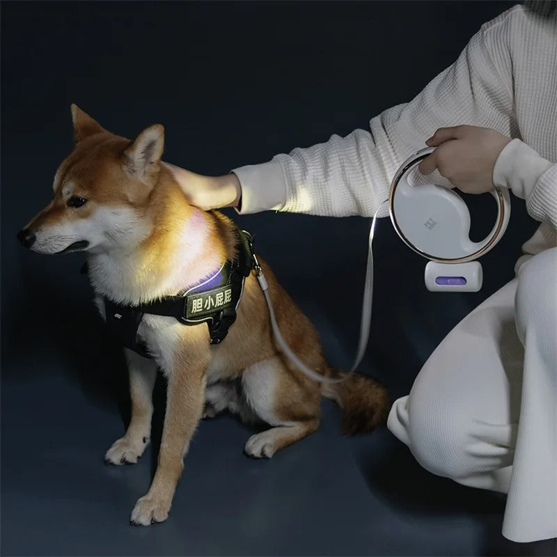Beam Leash - Retractable Dog Leash with Built In Flashlight & Poop Bags