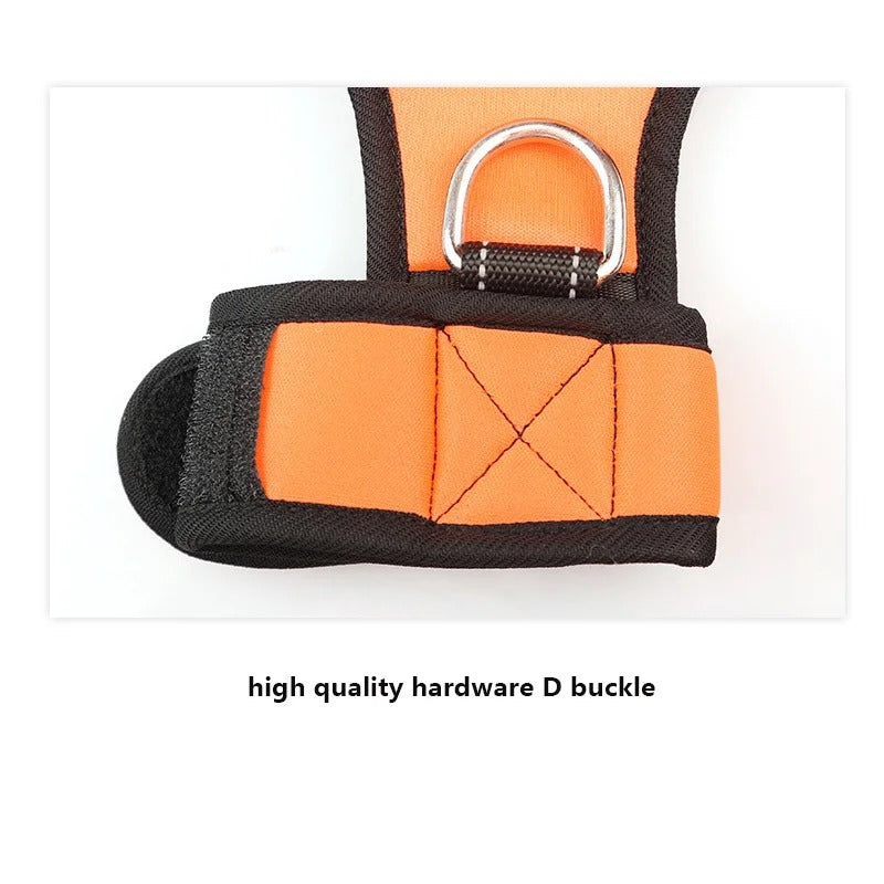Stride Leash - Hands Free Dog Leash