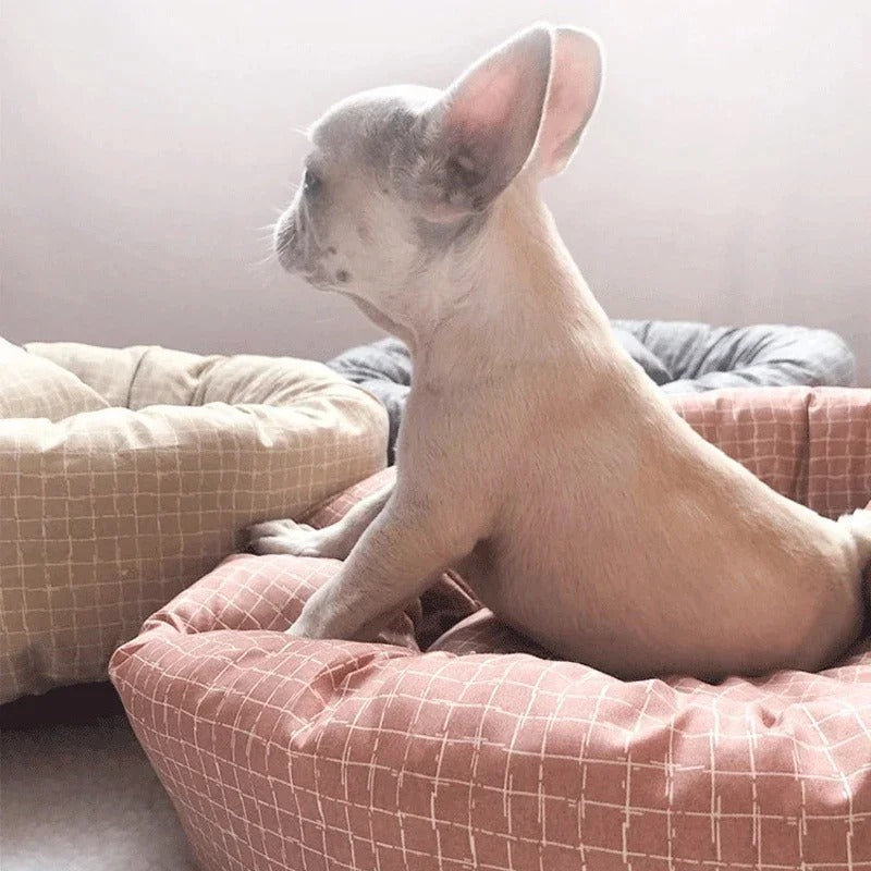 Cozy Circle - Comfy & Plush Pet Bed with Pillow