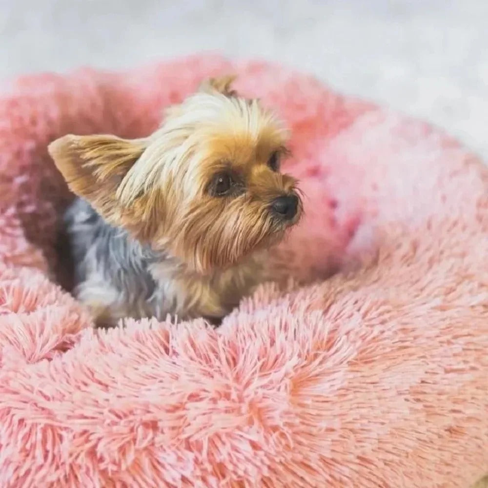 Plush Haven - Therapeutic Donut Cat & Dog Bed