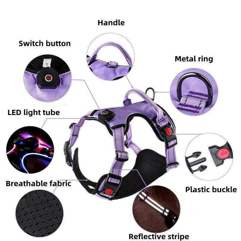 Trail Guard - Reflective LED Dog Collar Harness