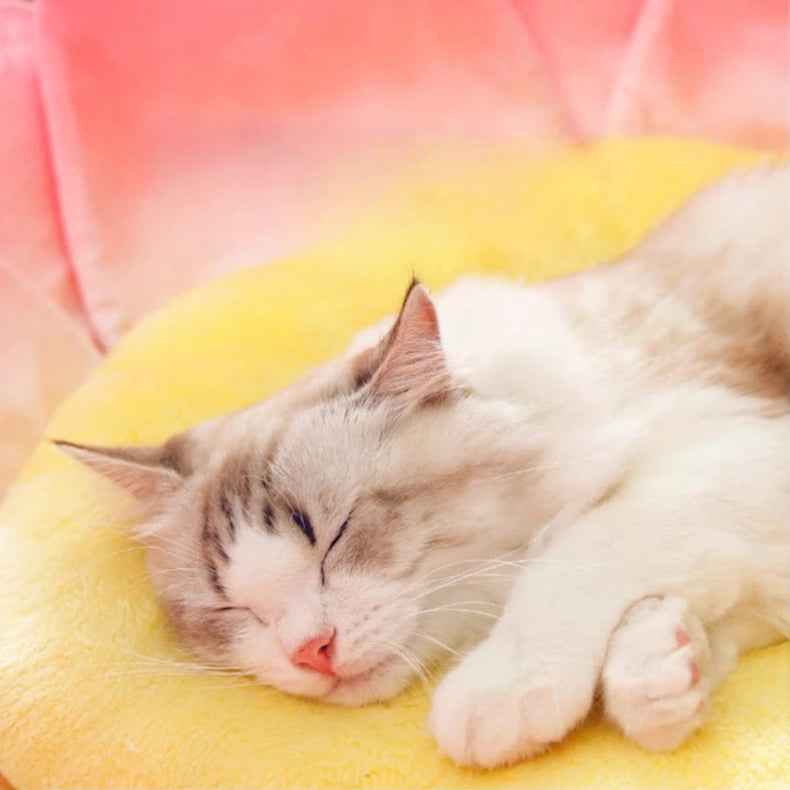 Lotus Bliss - Flower Petal Cozy Cat Bed with Memory Foam