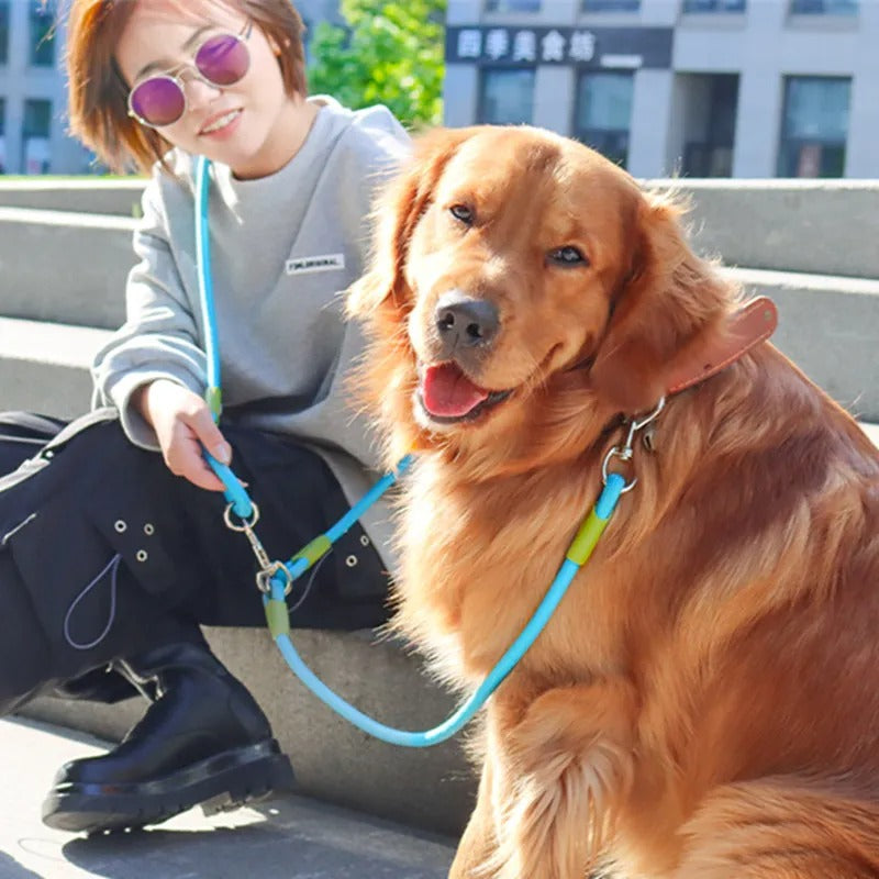 Stride Leash - Hands Free Reflective Dog Leash