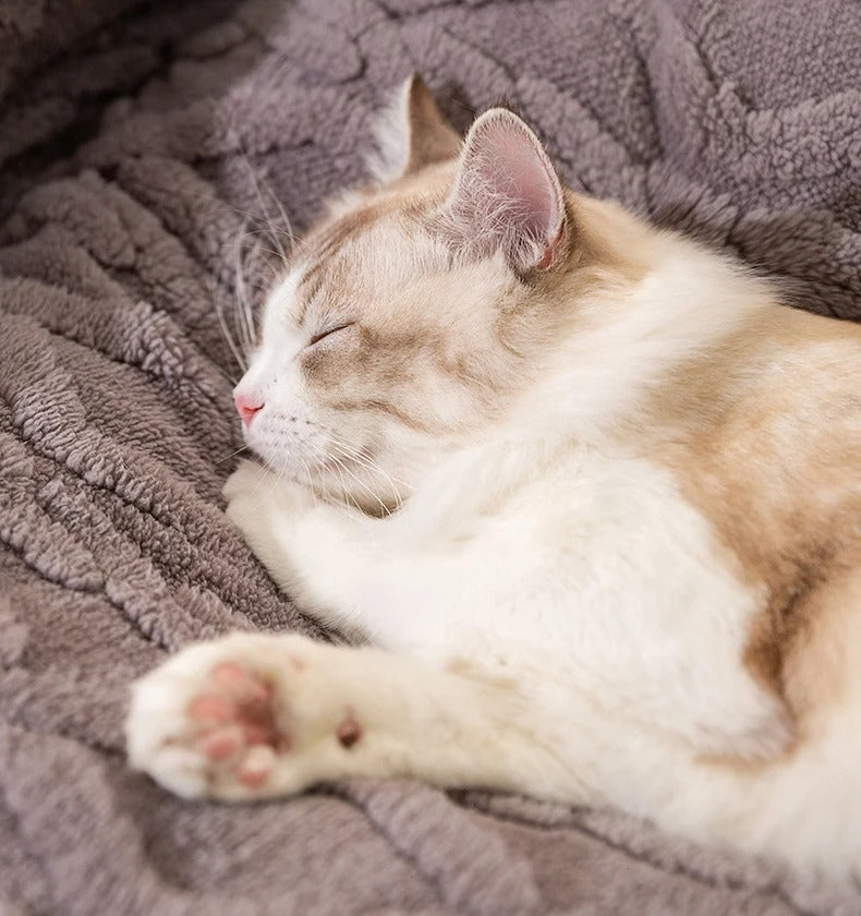Comfy Paws - Orthopedic Pet Bed Designed for Deep Sleep